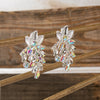 Cora Iridescent Stones Earrings