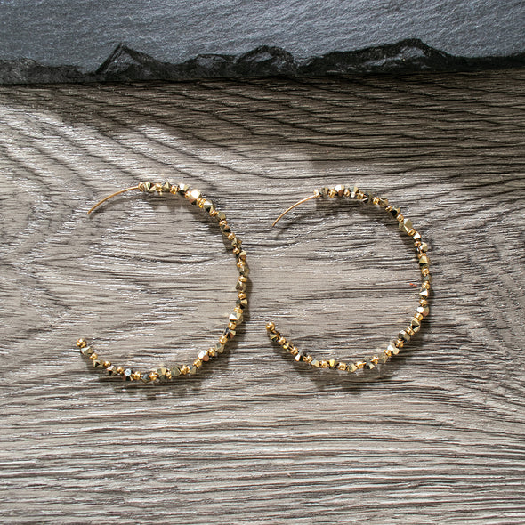 Briana Hoops Earrings