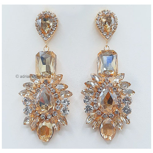 Statement Earrings 2209