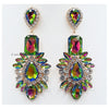 Statement Earrings 2209