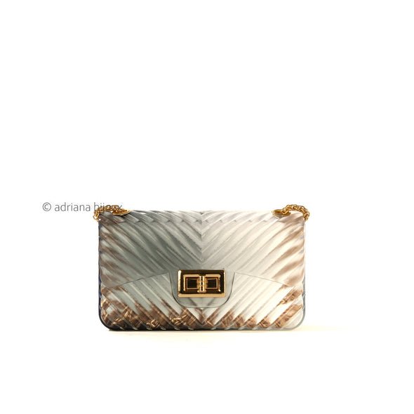 Ombre Chevron Mini Jelly Bag