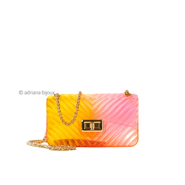 Ombre Chevron Mini Jelly Bag
