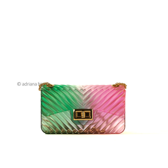 Ombre Chevron Mini Jelly Bag