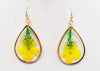 Dried Flower Teardrop Earrings 1250