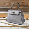 Aubree Shimmery Small Bag